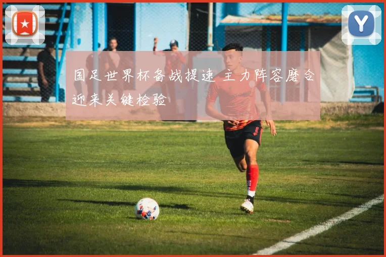 国足世界杯备战提速 主力阵容磨合迎来关键检验